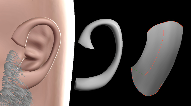Ear.jpg